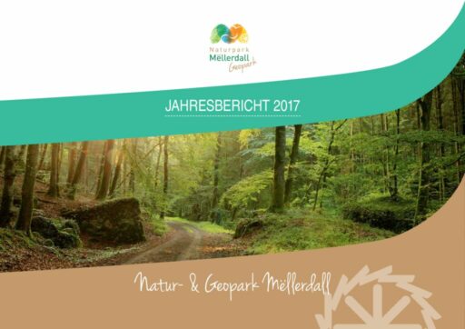 thumbnail of Jahresbericht_def_2017_web