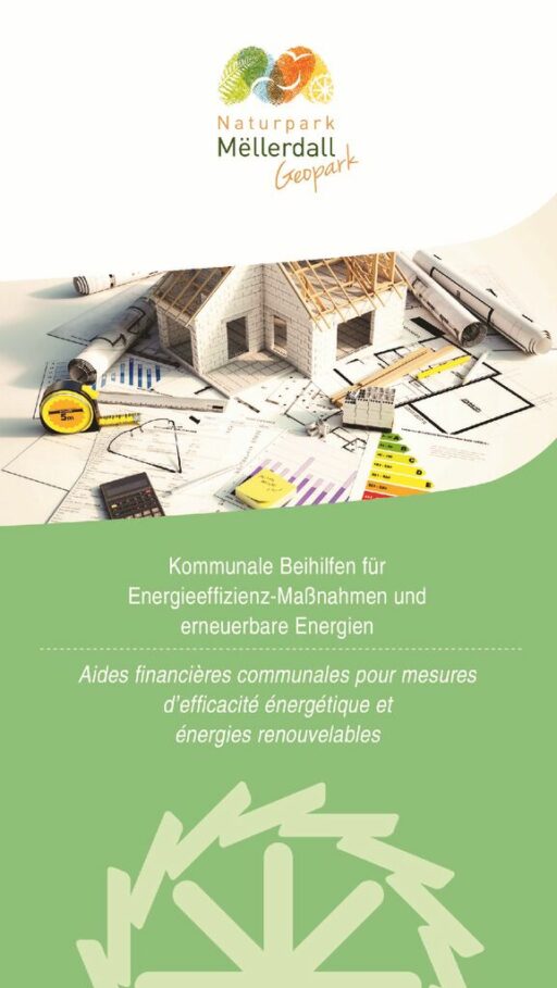 thumbnail of Flyer Beihilfen Energieeffizientes Bauen_cut