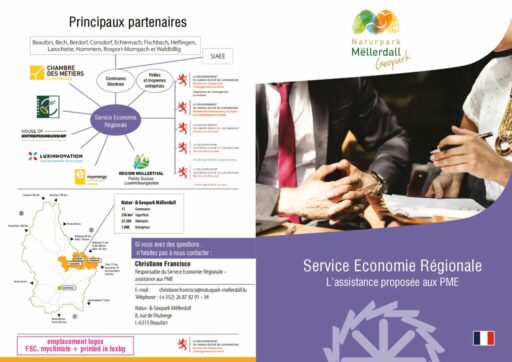 thumbnail of NGPM_Economie régionale assistance proposée aux PME_FR – VF