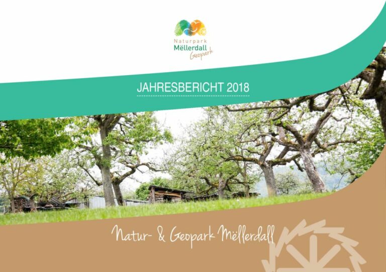 thumbnail of Jahresbericht_def_2018_web