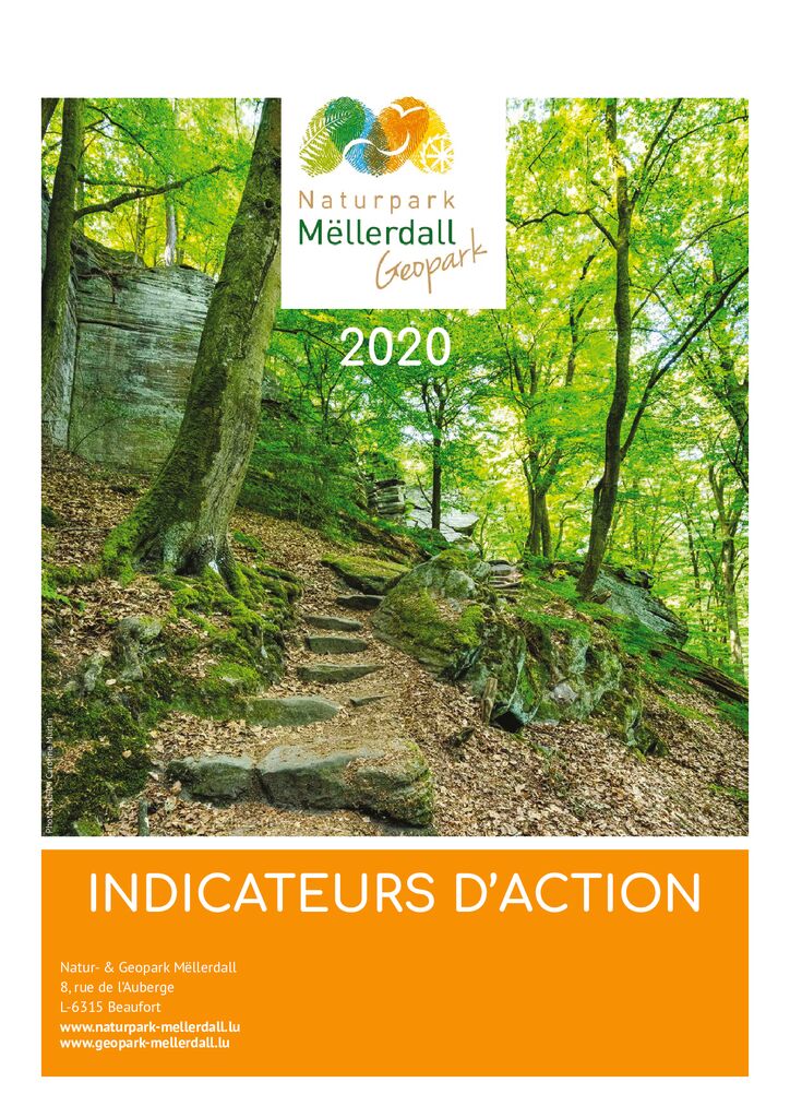 thumbnail of 2021-11-29 NP Mellerdall Indicateurs 2020_lightFINAL