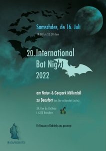 thumbnail of 2022 Flyer Bat Night_FINAL